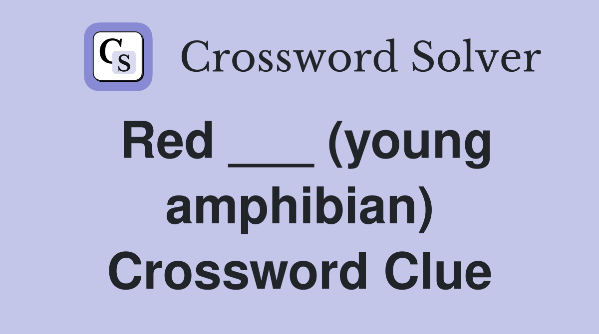 Red ___ (young amphibian) Crossword Clue