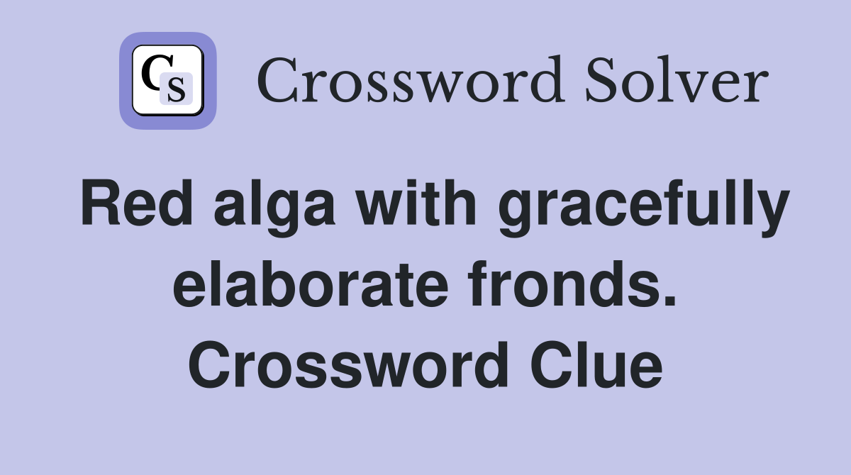 Red alga with gracefully elaborate fronds. Crossword Clue