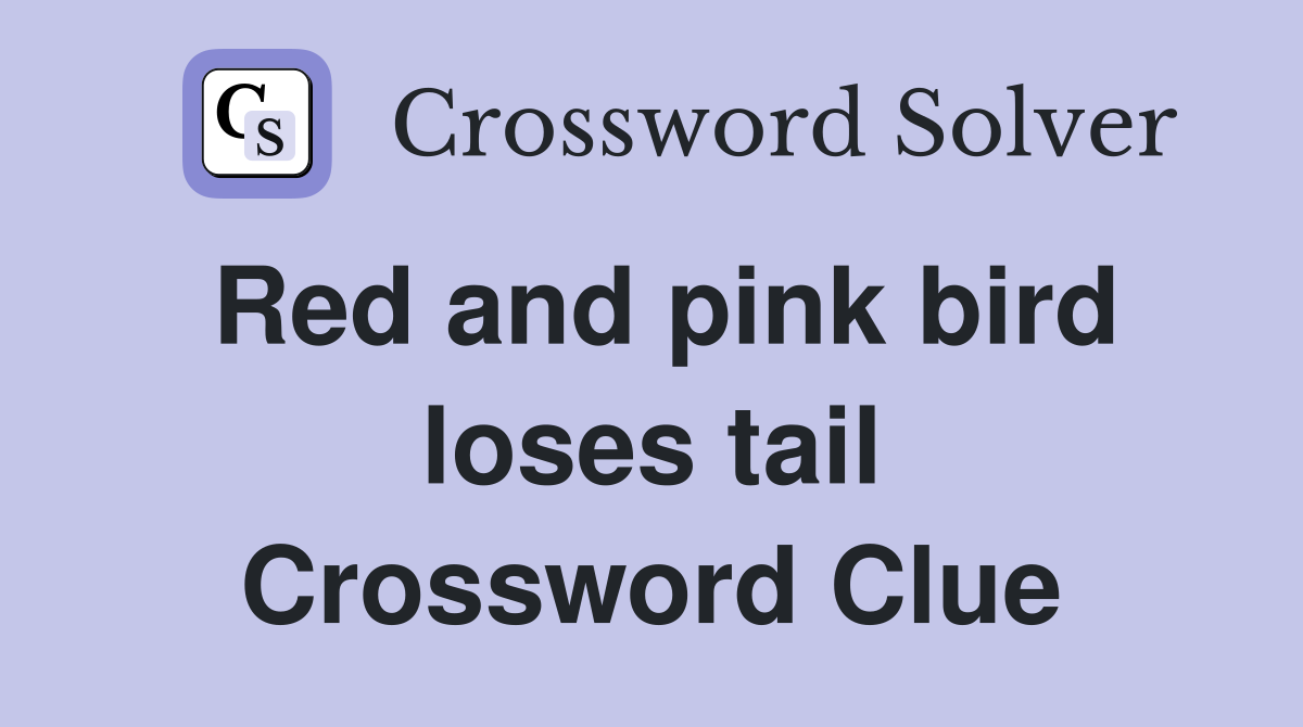 Red and pink bird loses tail Crossword Clue