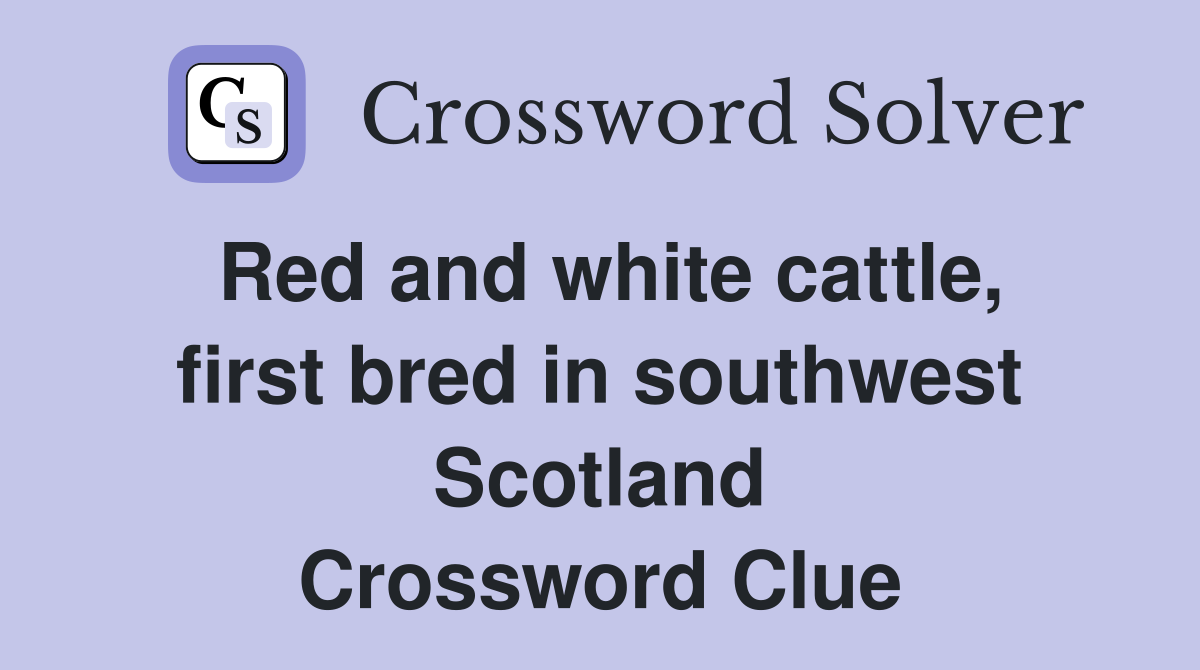 Red and white cattle, first bred in southwest Scotland Crossword Clue