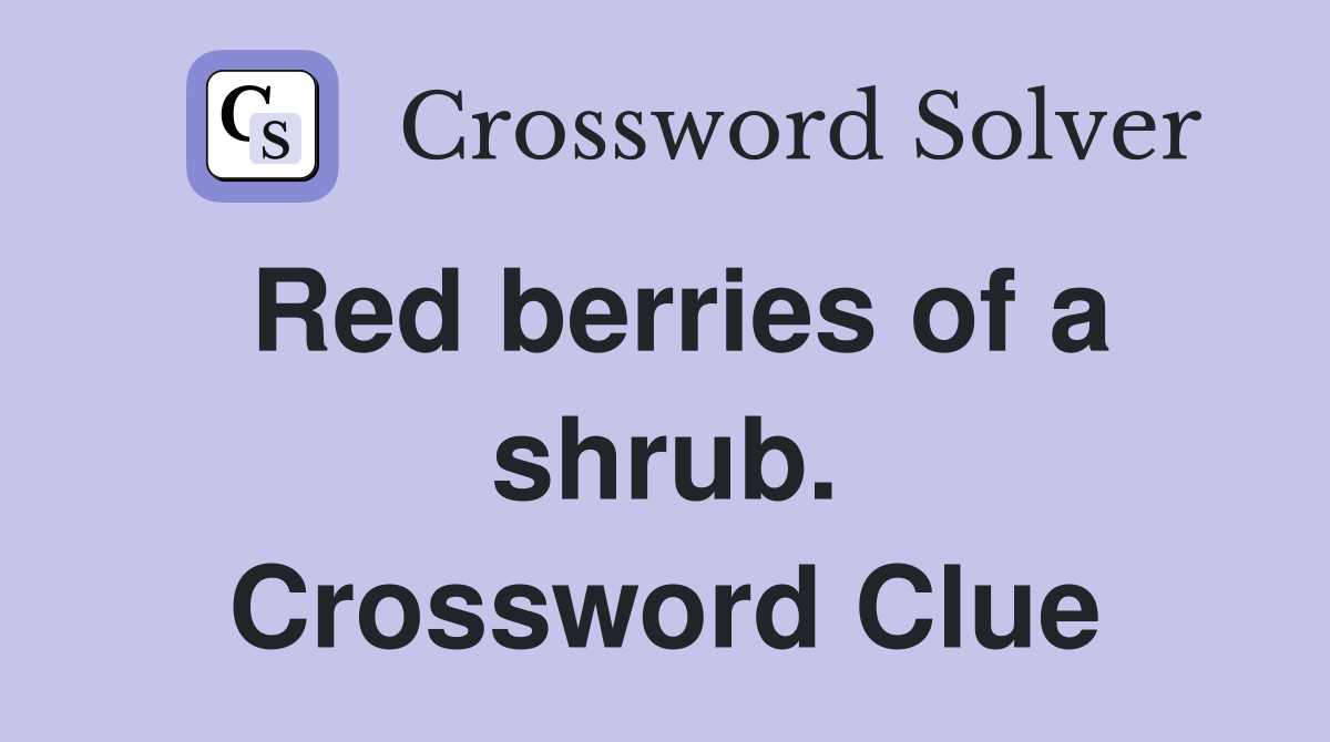 Red berries of a shrub. Crossword Clue