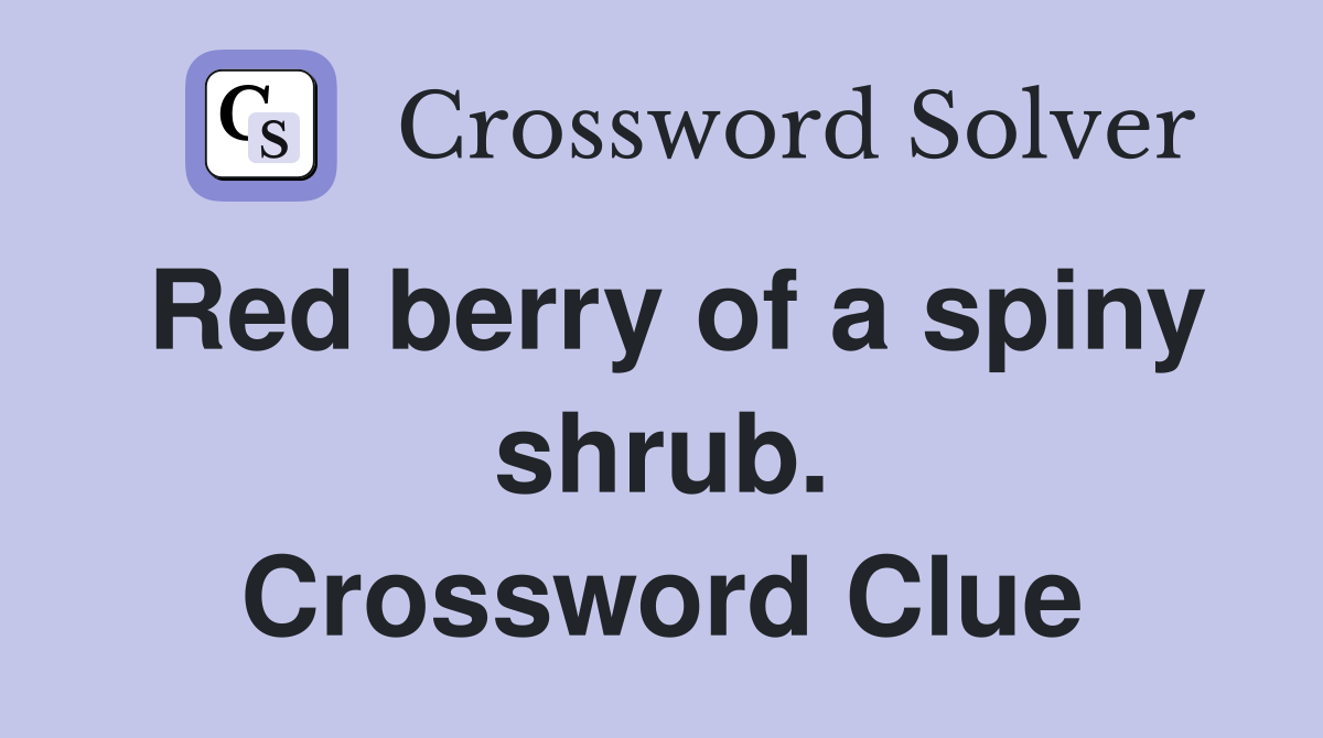 Red berry of a spiny shrub. Crossword Clue