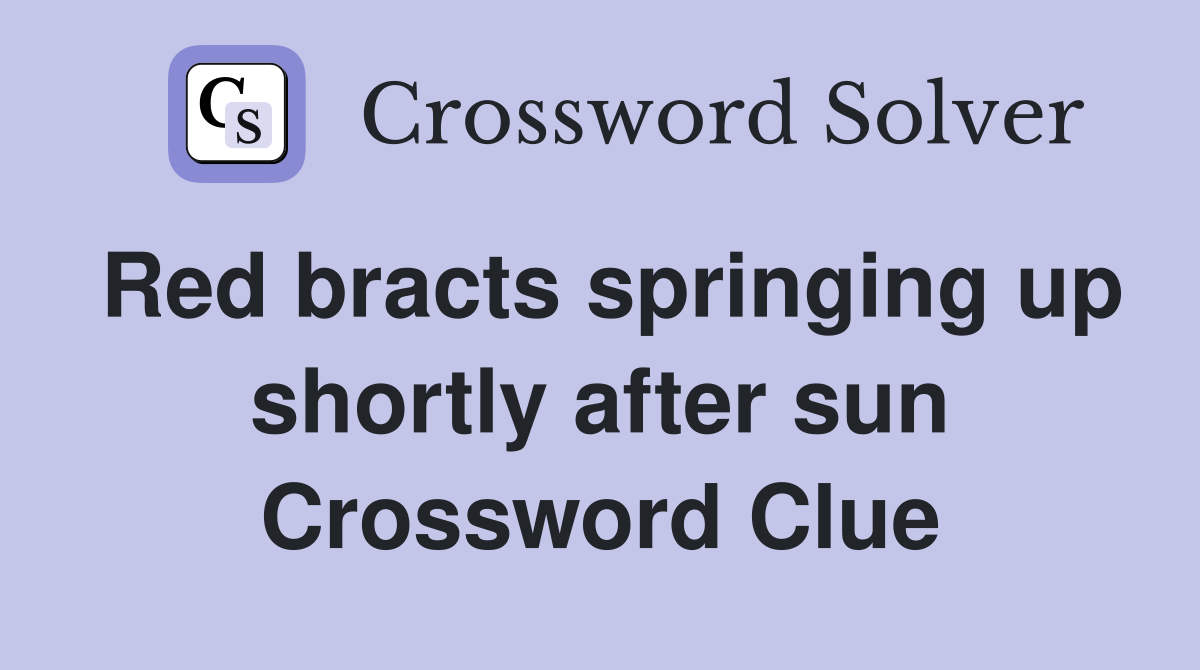 Red bracts springing up shortly after sun Crossword Clue