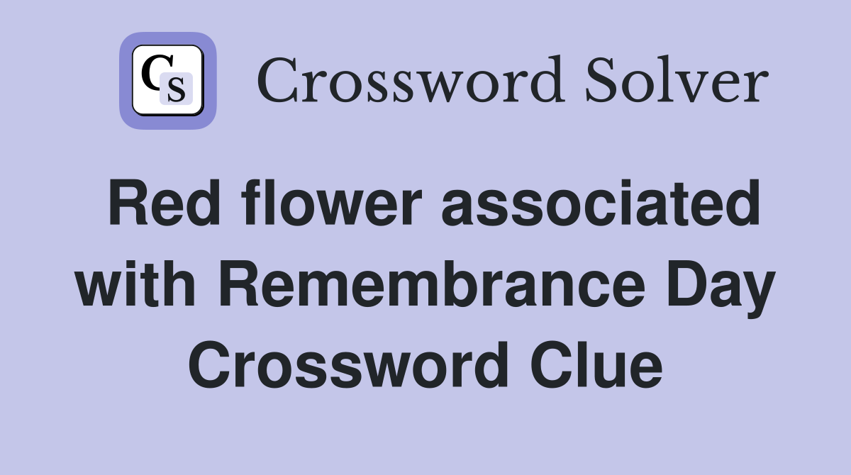 Red flower associated with Remembrance Day Crossword Clue