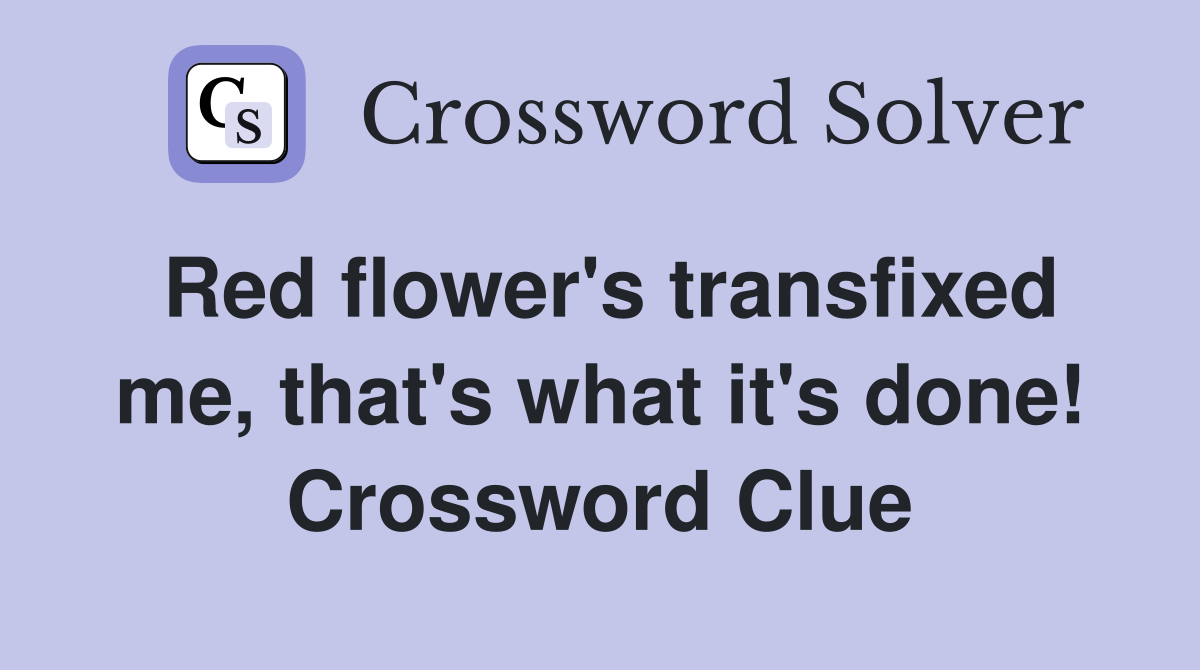 Red flower's transfixed me, that's what it's done! Crossword Clue
