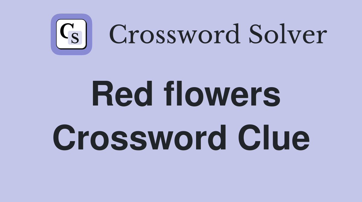 Red flowers Crossword Clue