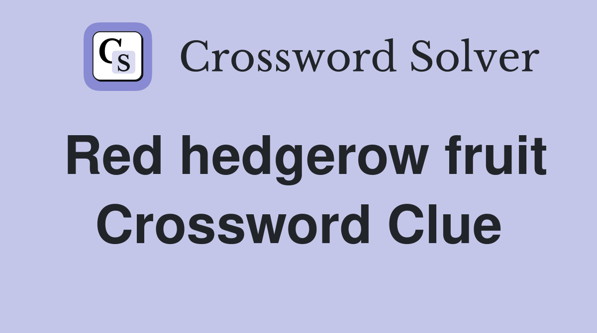 Red hedgerow fruit Crossword Clue