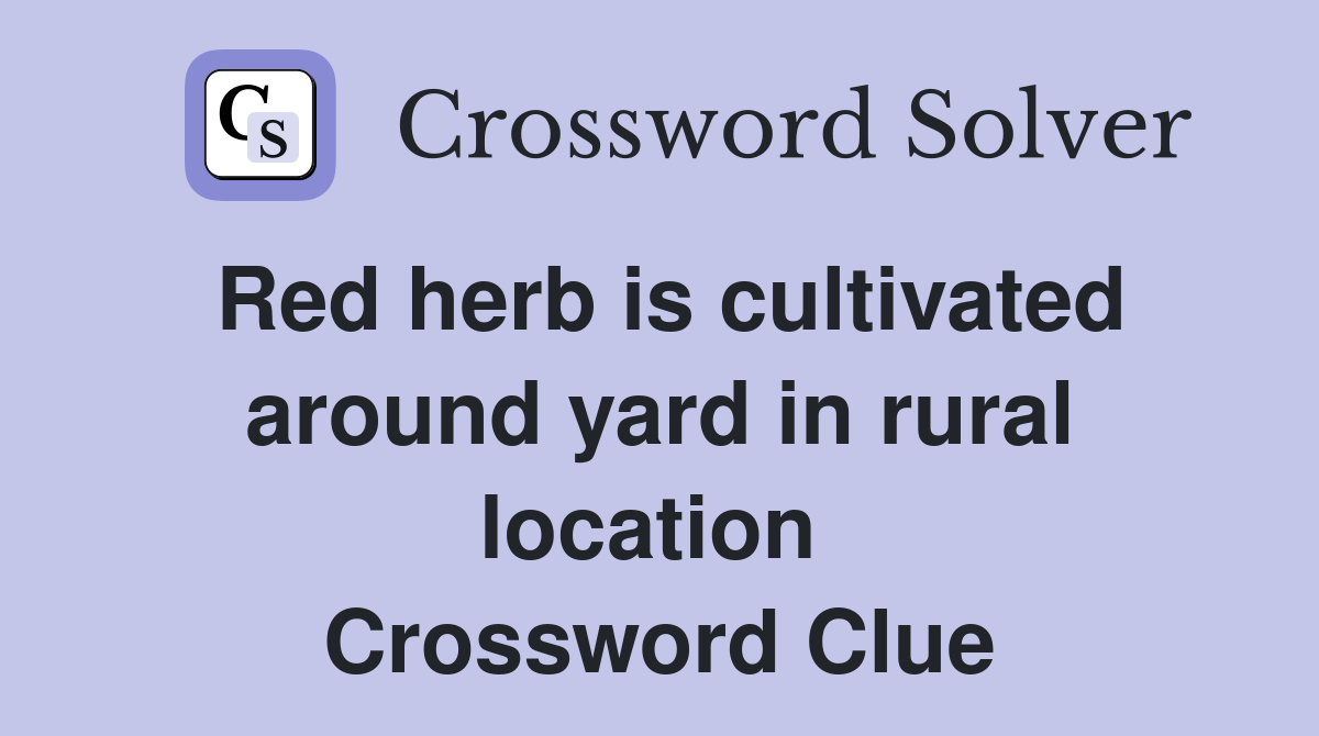 Red herb is cultivated around yard in rural location  Crossword Clue