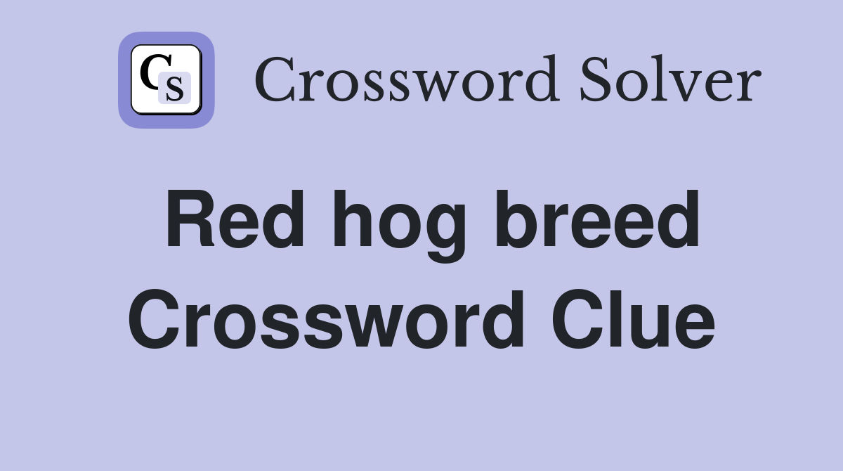 Red hog breed Crossword Clue