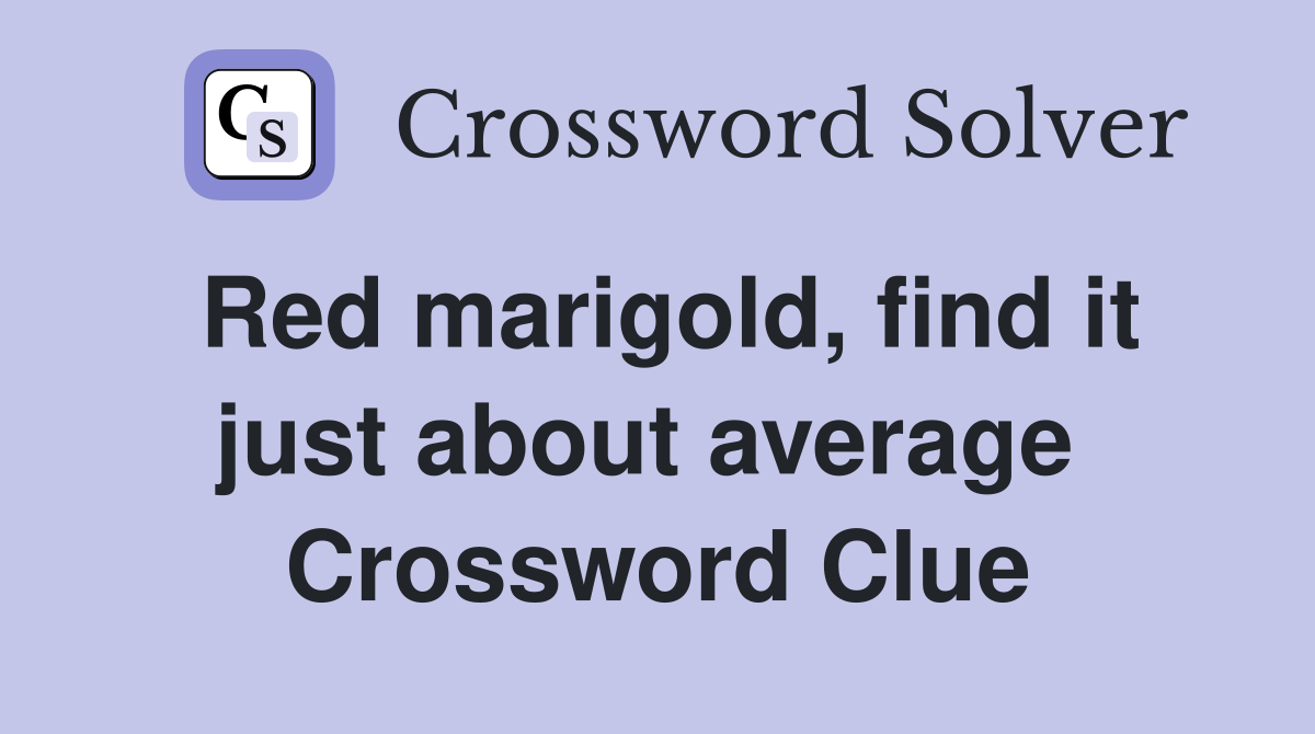 Red marigold, find it just about average  Crossword Clue