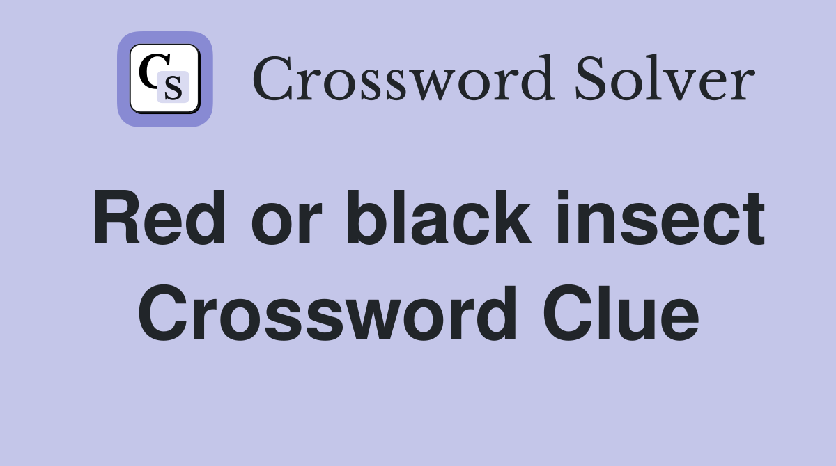 Red or black insect Crossword Clue