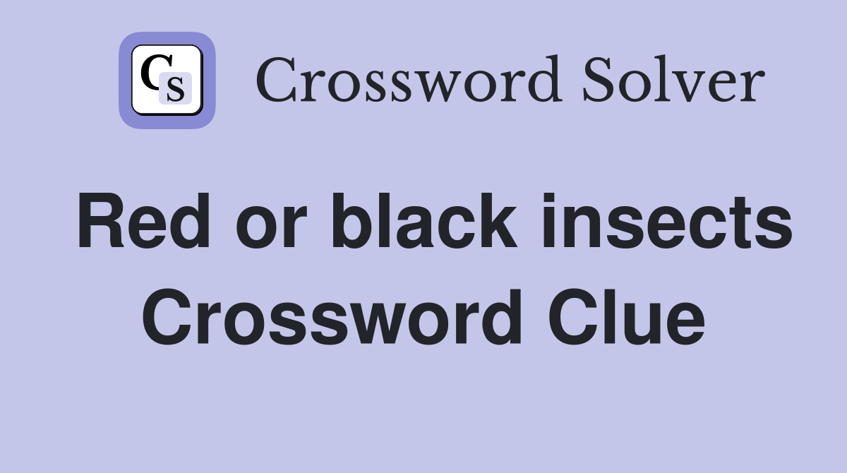 Red or black insects Crossword Clue
