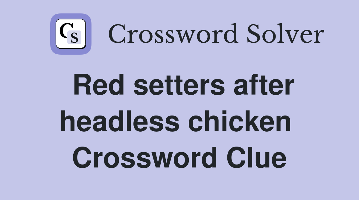 Red setters after headless chicken  Crossword Clue