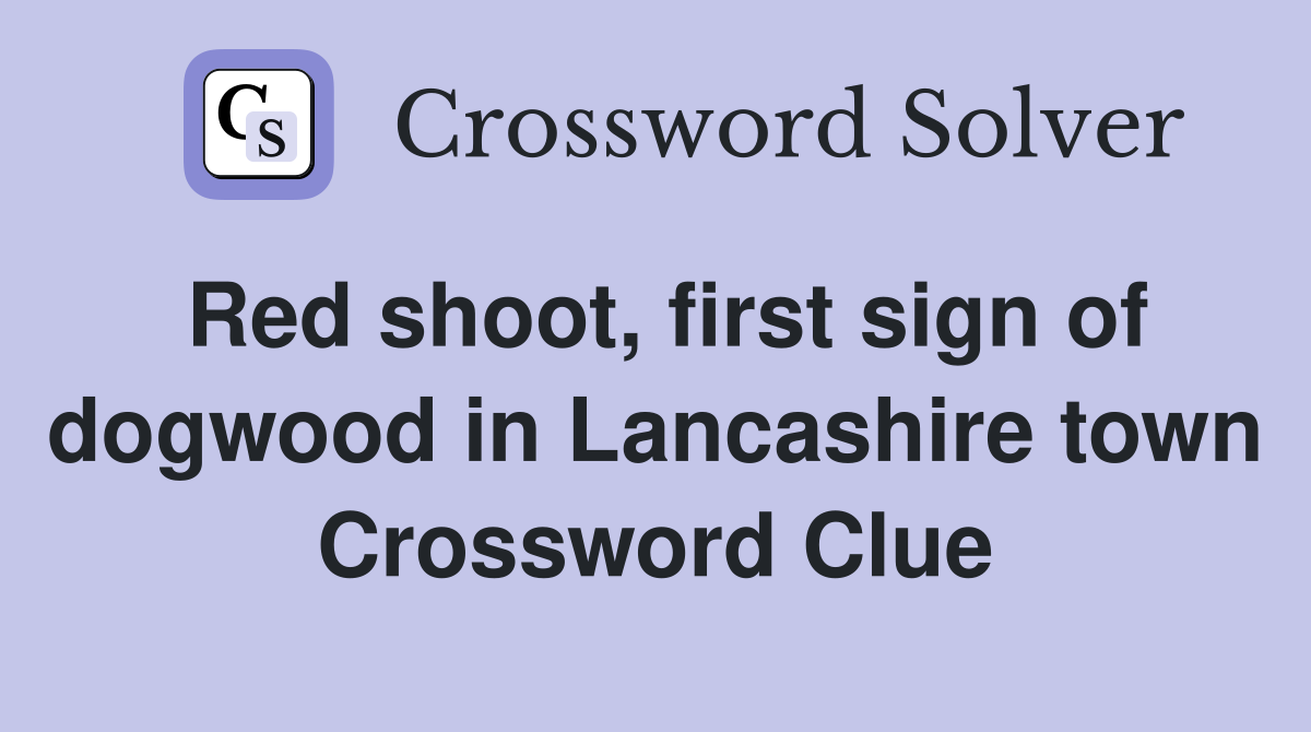 Red shoot, first sign of dogwood in Lancashire town Crossword Clue
