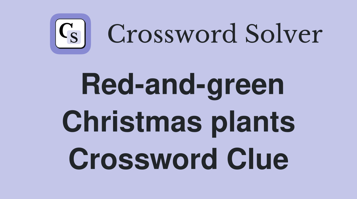 Red-and-green Christmas plants Crossword Clue