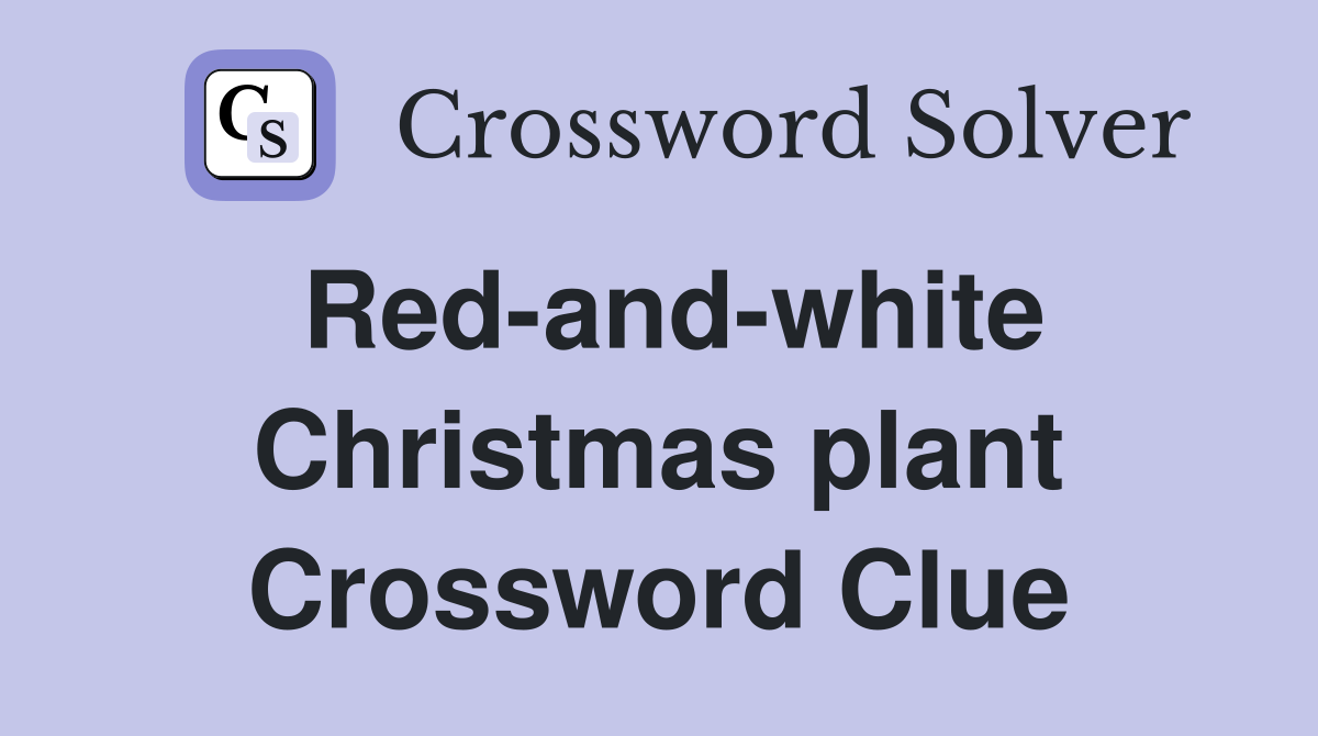 Red-and-white Christmas plant Crossword Clue