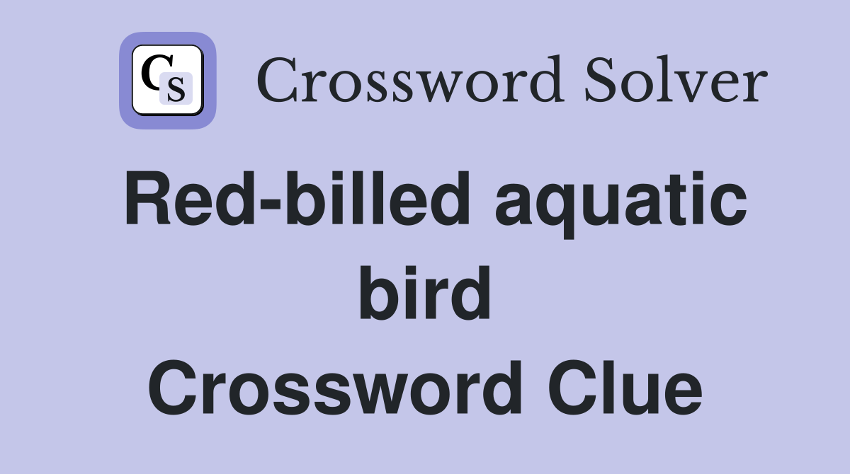 Red-billed aquatic bird Crossword Clue
