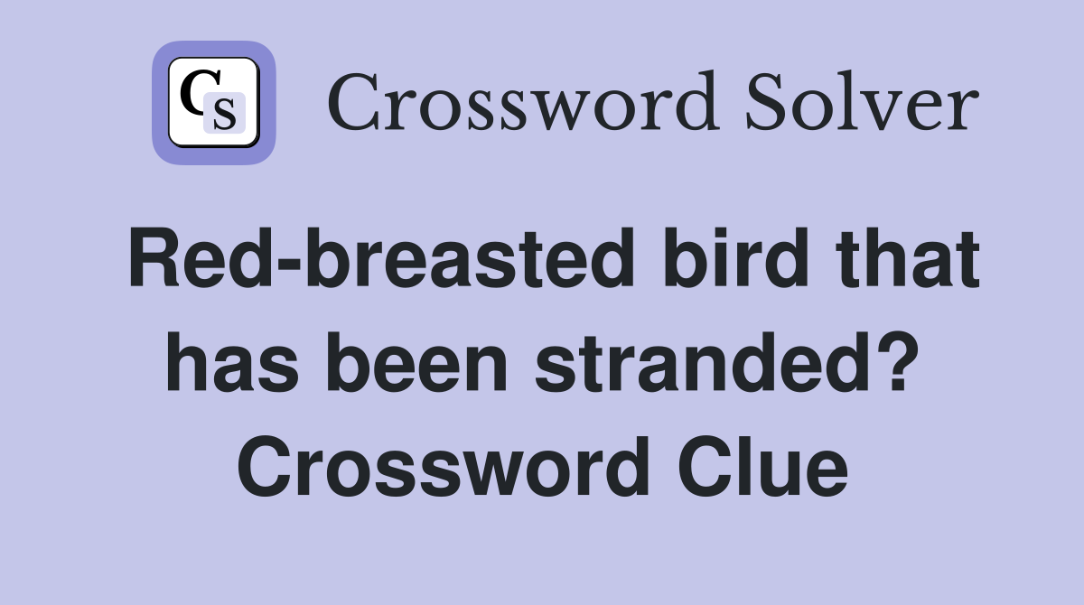 Red-breasted bird that has been stranded? Crossword Clue