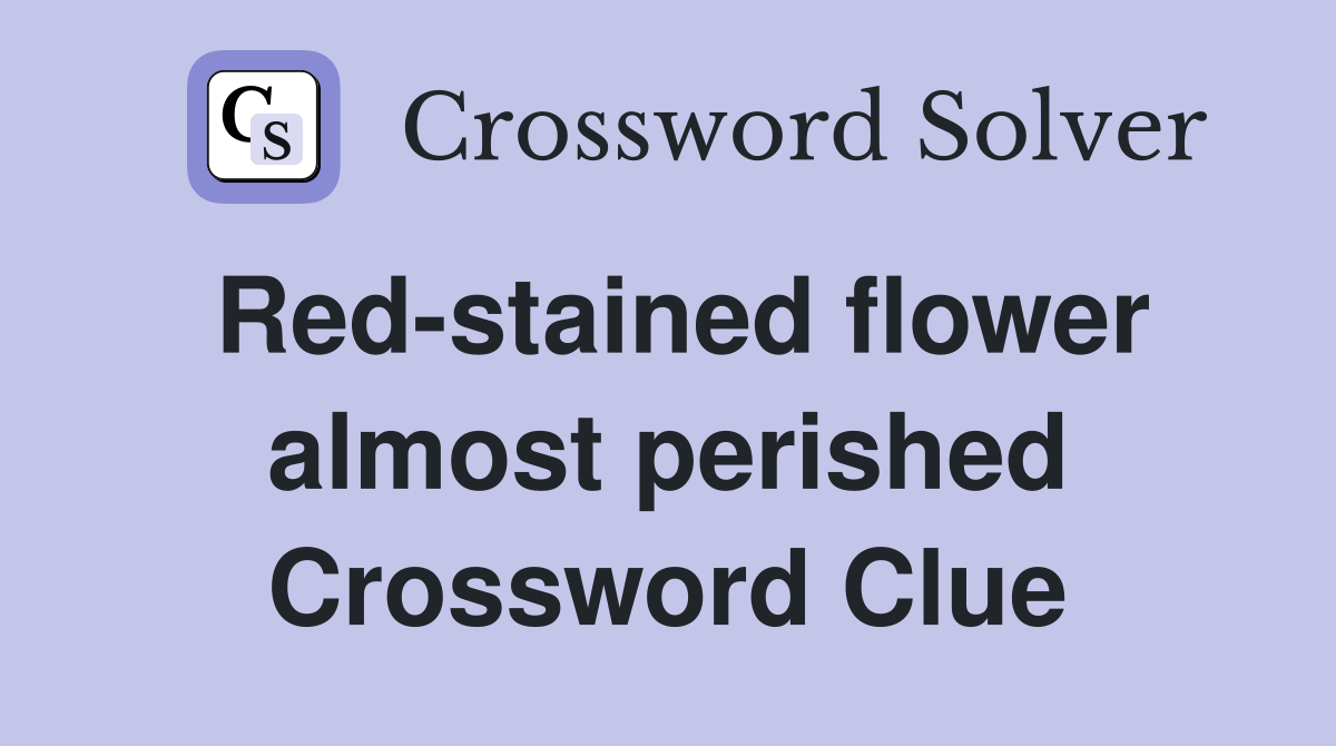 Red-stained flower almost perished Crossword Clue