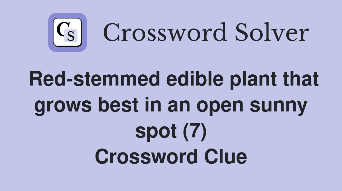 Red-stemmed edible plant that grows best in an open sunny spot (7) Crossword Clue