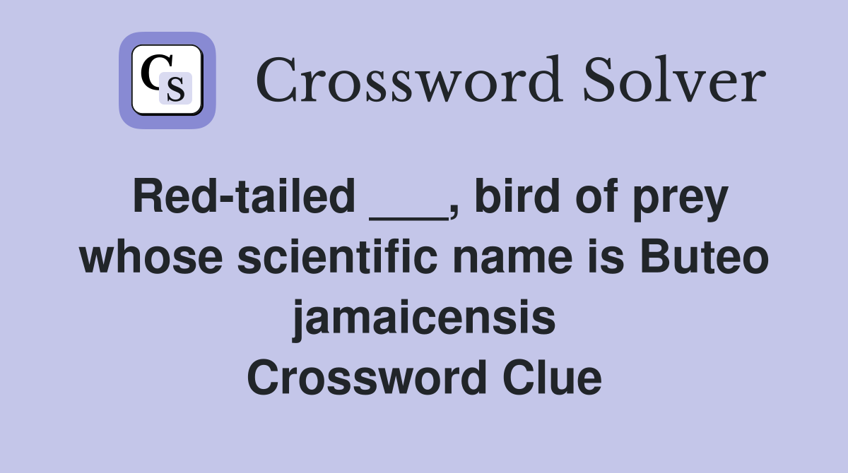 Red-tailed ___, bird of prey whose scientific name is Buteo jamaicensis Crossword Clue