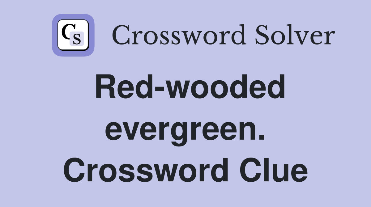 Red-wooded evergreen. Crossword Clue