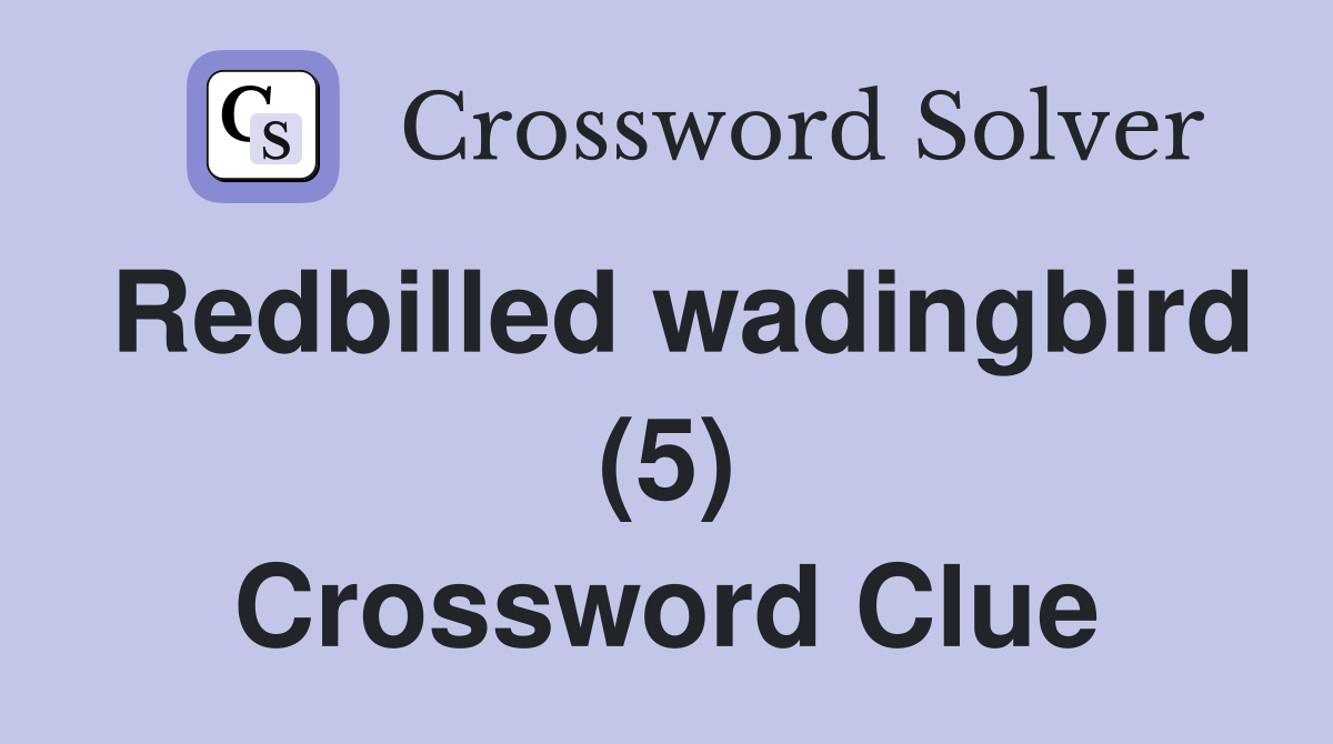 Redbilled wadingbird (5) Crossword Clue