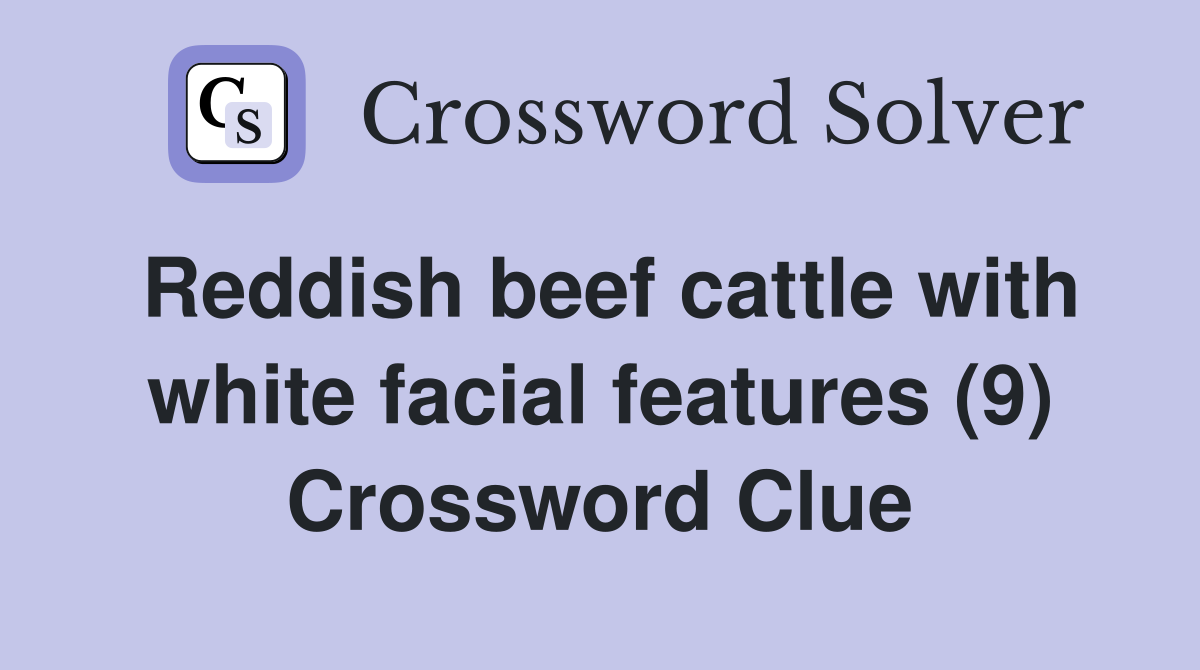 Reddish beef cattle with white facial features (9) Crossword Clue