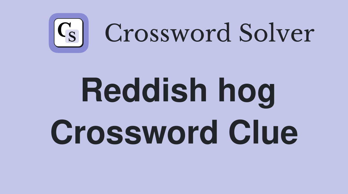 Reddish hog Crossword Clue