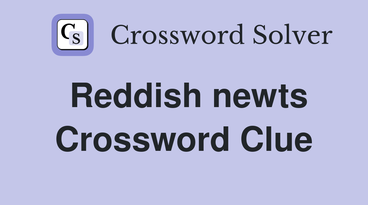 Reddish newts Crossword Clue