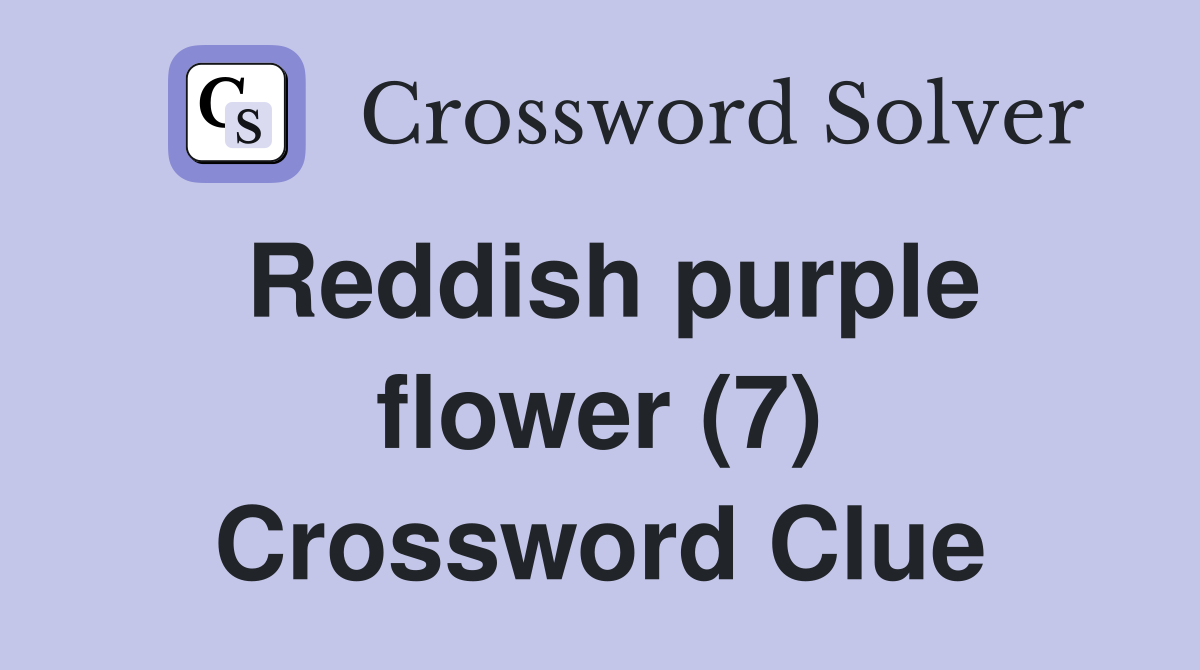 Reddish purple flower (7) Crossword Clue