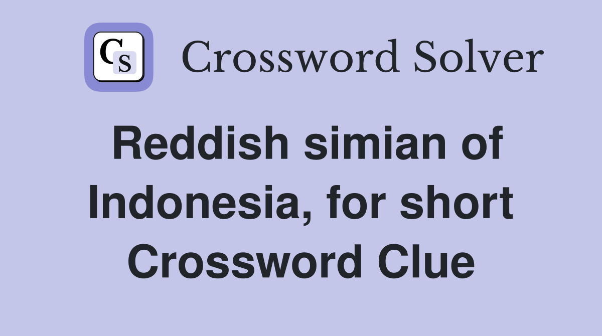 Reddish simian of Indonesia, for short Crossword Clue