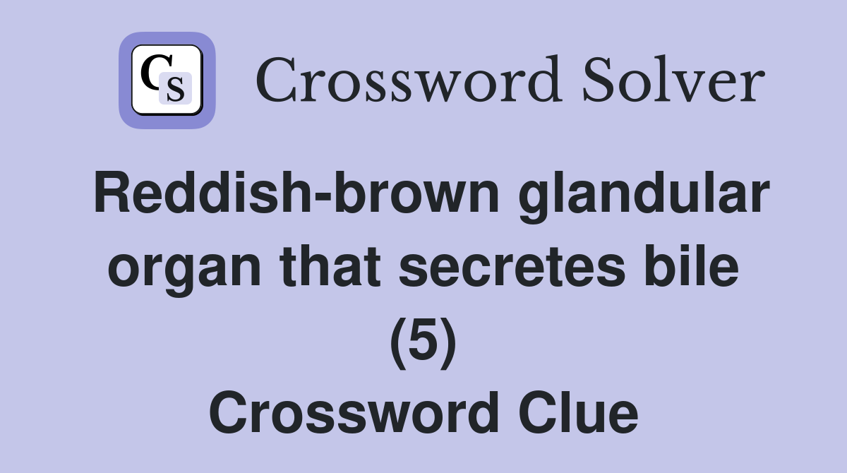 Reddish-brown glandular organ that secretes bile (5) Crossword Clue