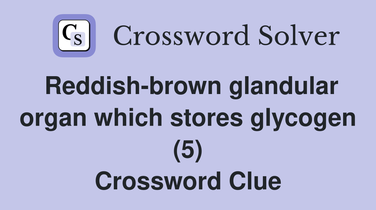 Reddish-brown glandular organ which stores glycogen (5) Crossword Clue