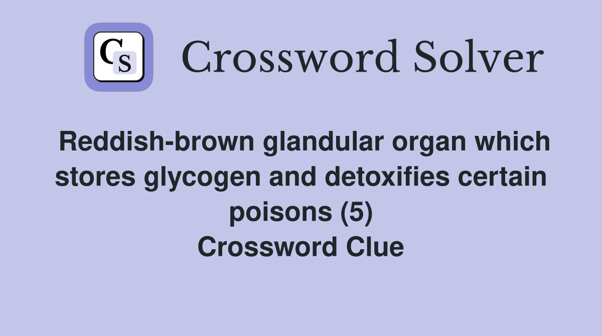 Reddish-brown glandular organ which stores glycogen and detoxifies certain poisons (5) Crossword Clue
