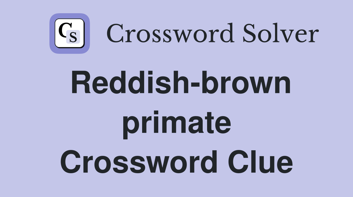 Reddish-brown primate Crossword Clue