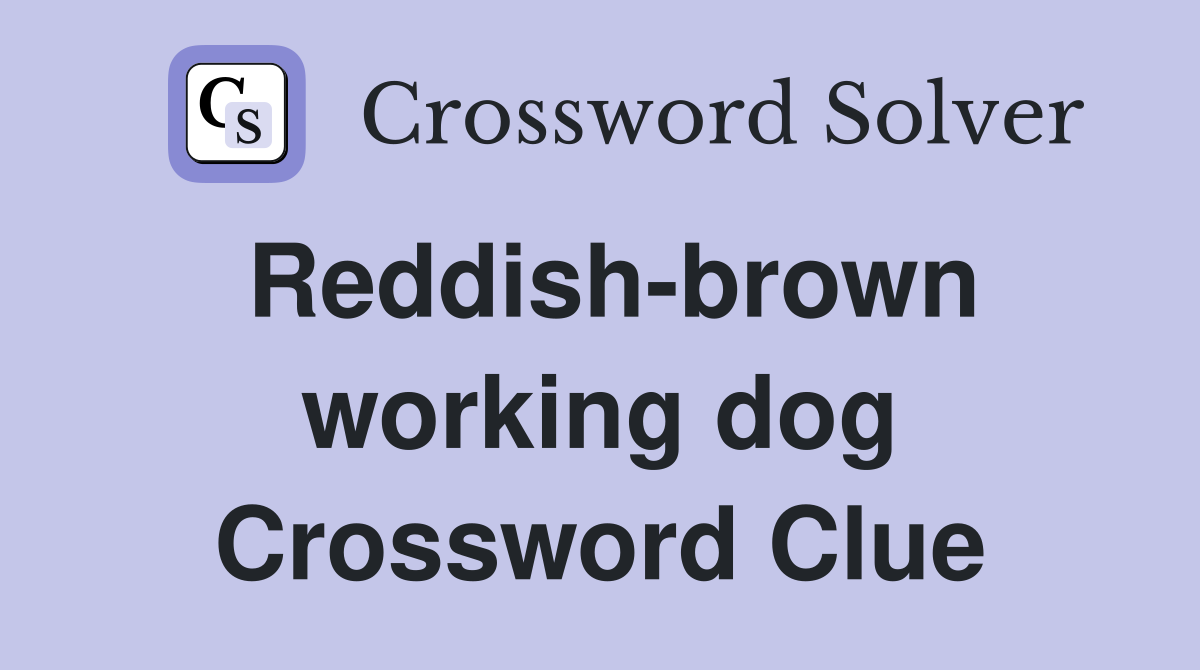 Reddish-brown working dog Crossword Clue