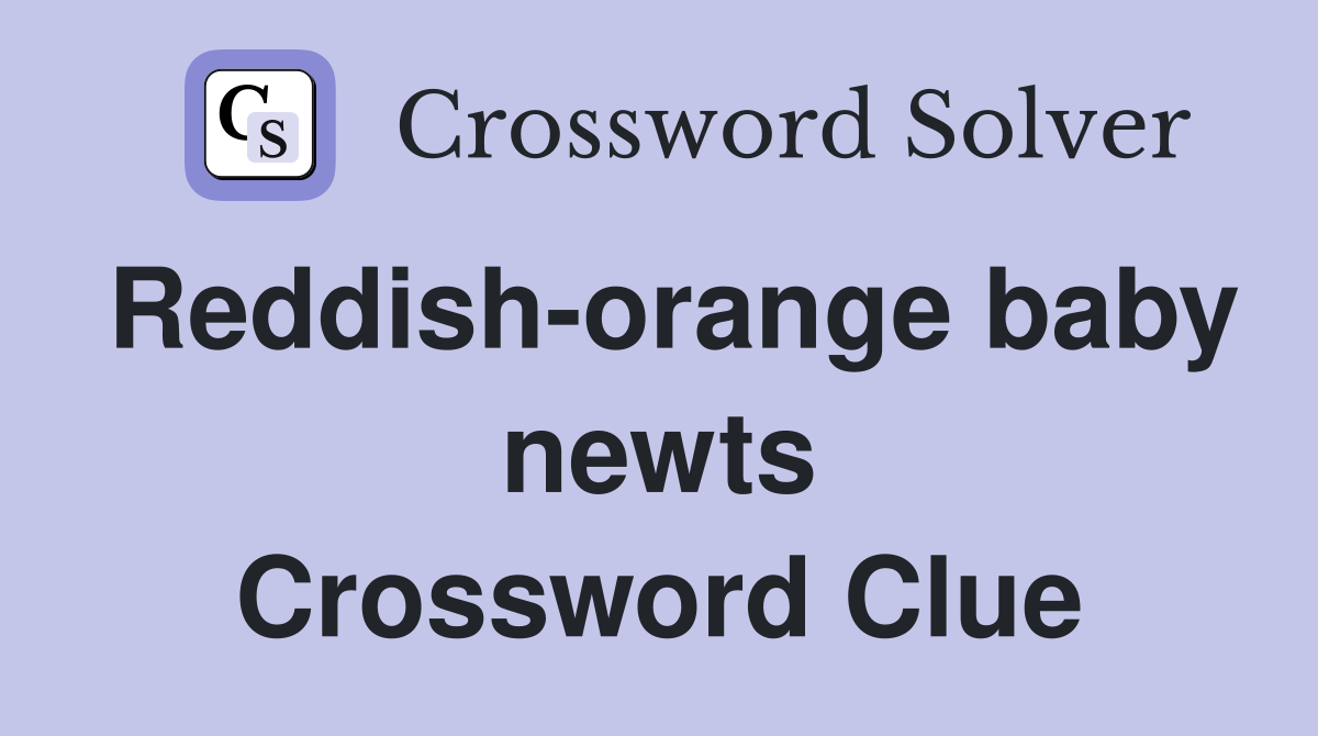 Reddish-orange baby newts Crossword Clue