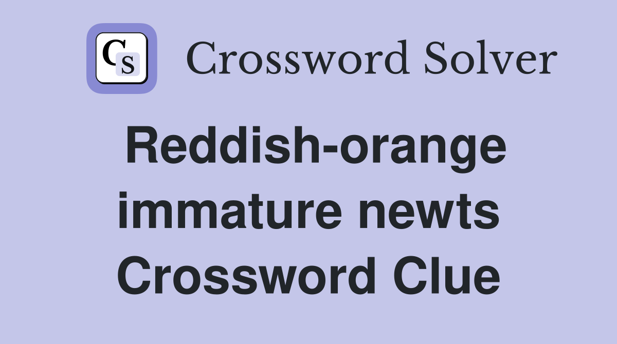 Reddish-orange immature newts Crossword Clue