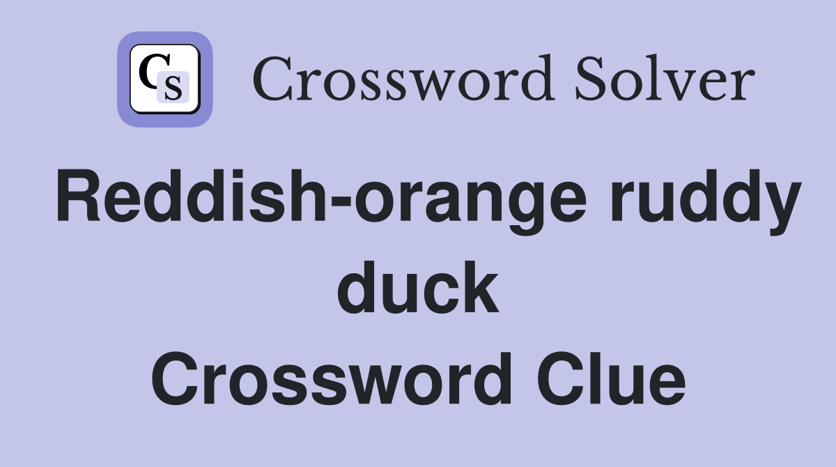 Reddish-orange ruddy duck Crossword Clue