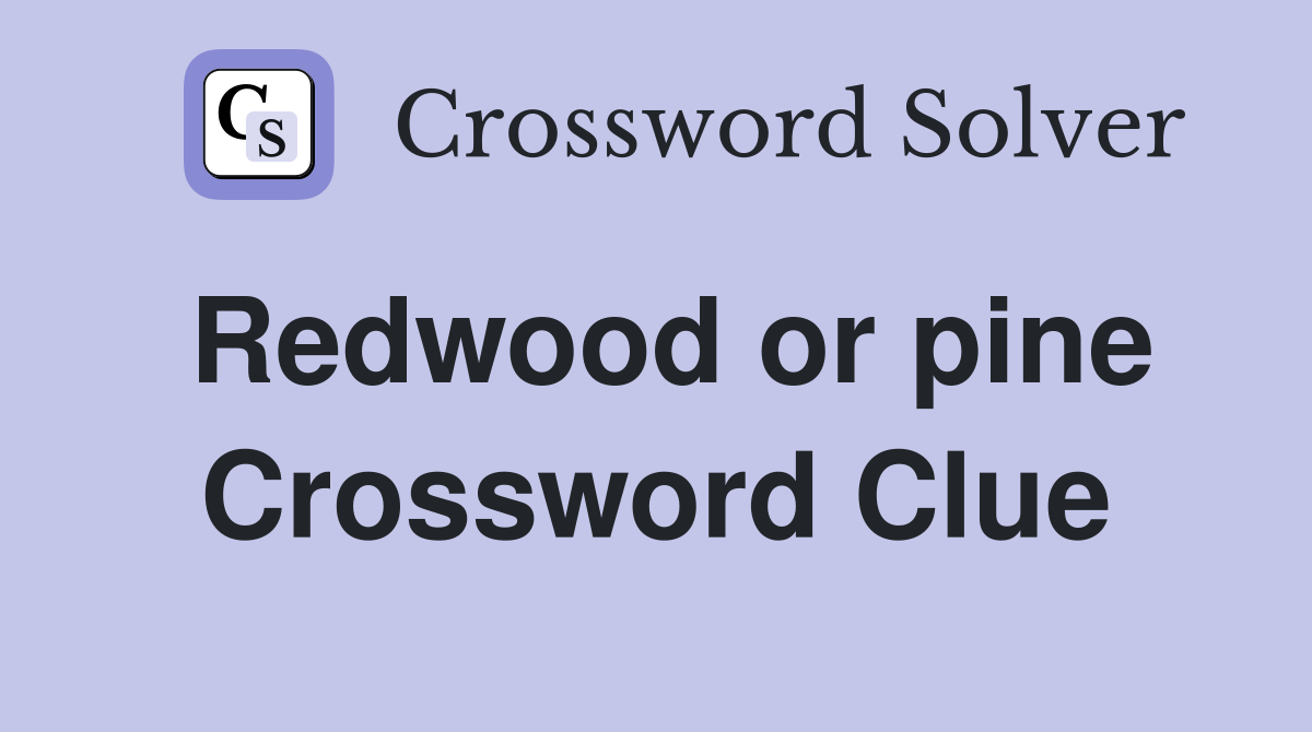 Redwood or pine Crossword Clue