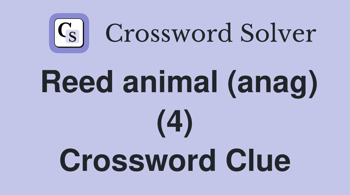 Reed animal (anag) (4) Crossword Clue