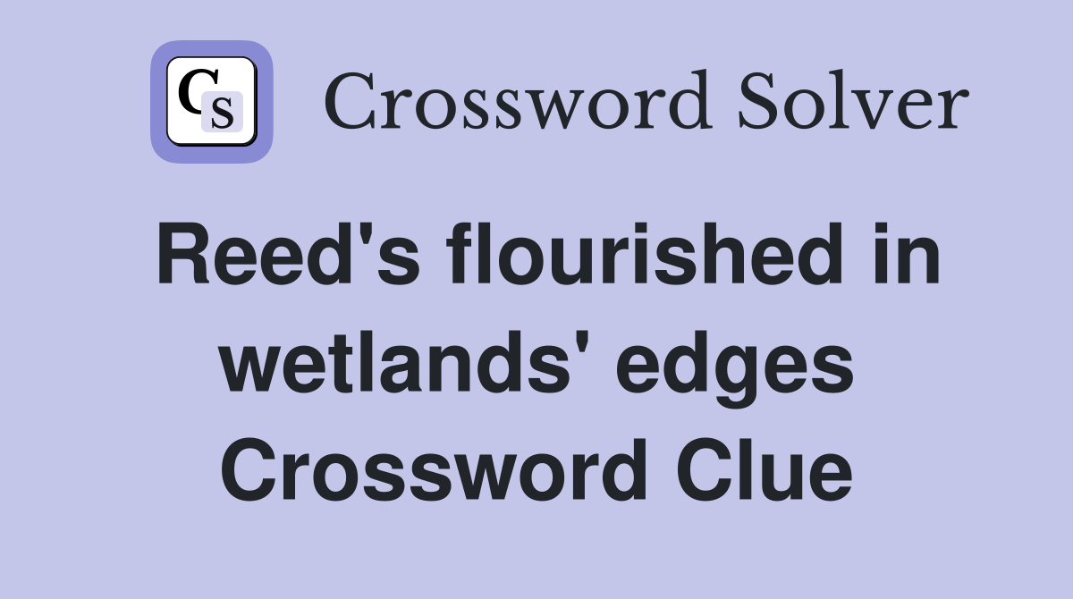 Reed's flourished in wetlands' edges Crossword Clue