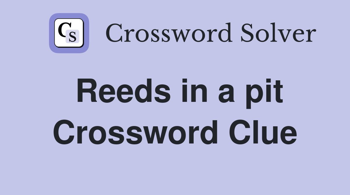 Reeds in a pit Crossword Clue
