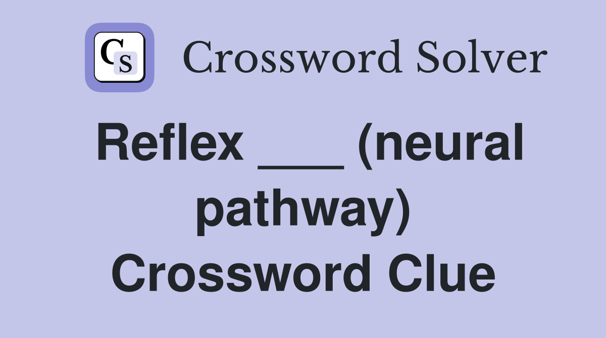 Reflex ___ (neural pathway) Crossword Clue