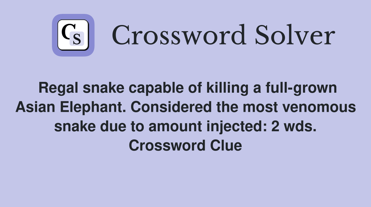 Regal snake capable of killing a full-grown Asian Elephant. Considered the most venomous snake due to amount injected: 2 wds. Crossword Clue