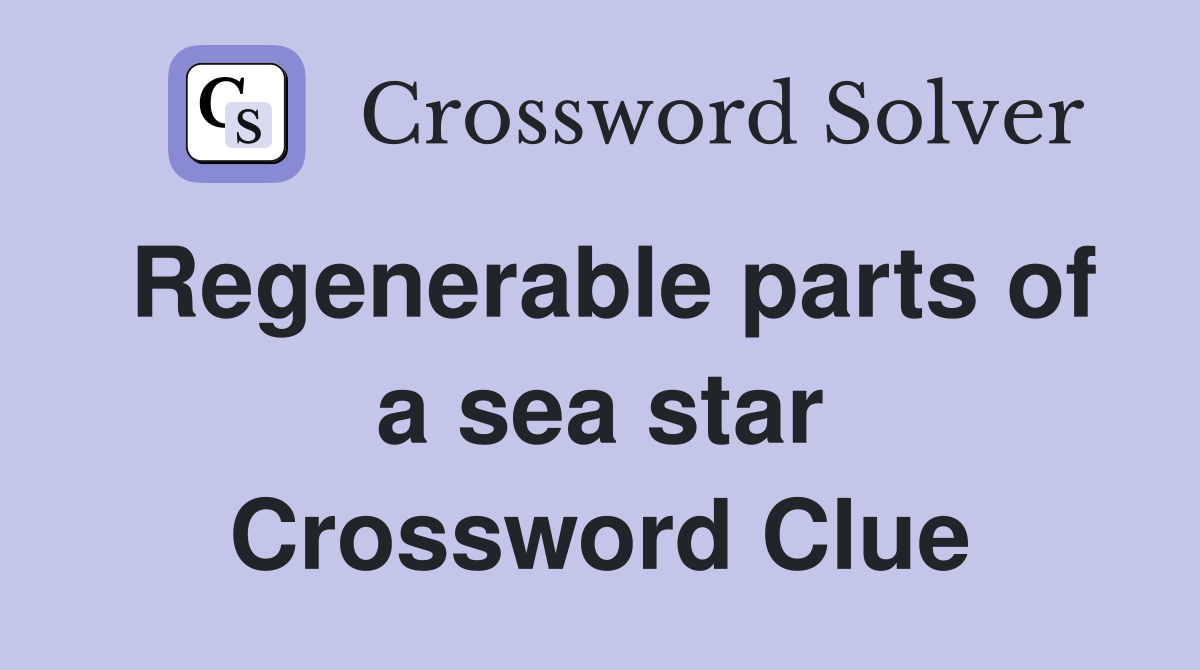 Regenerable parts of a sea star Crossword Clue