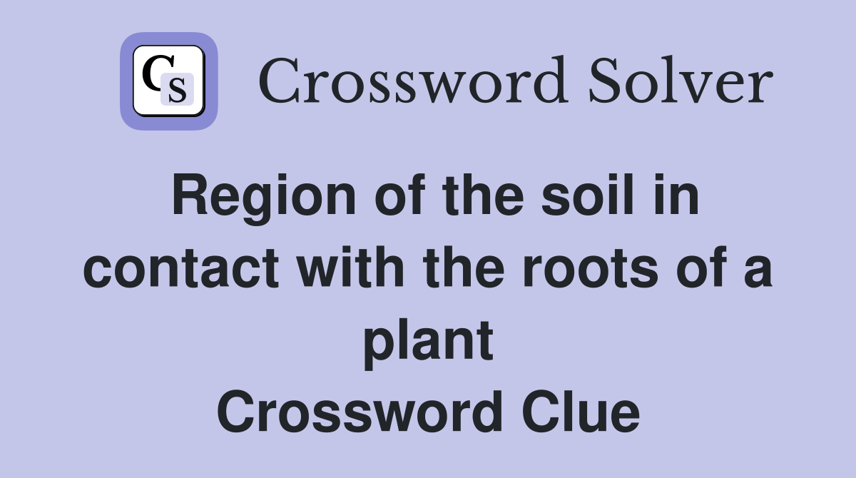 Region of the soil in contact with the roots of a plant Crossword Clue