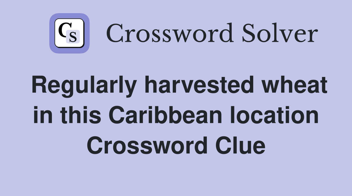 Regularly harvested wheat in this Caribbean location Crossword Clue