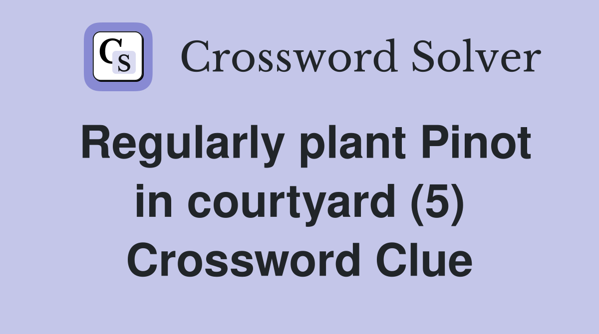 Regularly plant Pinot in courtyard (5) Crossword Clue